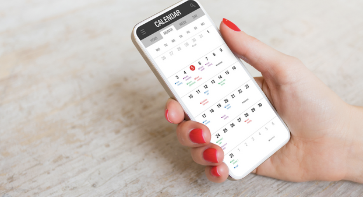 conception date calculator app on a smartphone